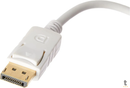 Adaptador Conversor Displayport Macho Para Vga Fêmea Tomate Mtv-601 Branco